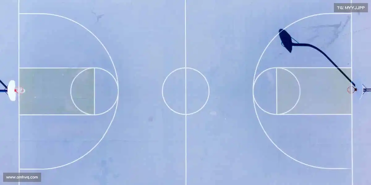 为什么选择我们